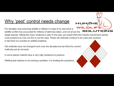 Humane Wildlife Solutions: A Webinar with Kevin Newell