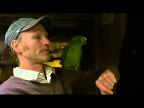 OurTour Meets the Motorhoming Parrot Ozzie in Erice, Sicily