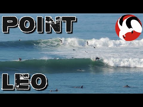 Pumping swells at Point Leo