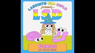 LSD - Genius (Lil Wayne Remix)