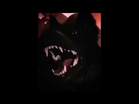 SHINIGAMI MIXTAPE VOL.3