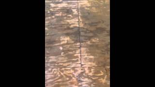 preview picture of video 'Flooring Installers Shelburne VT (802) 310-5284 Vermont Flooring Companies'