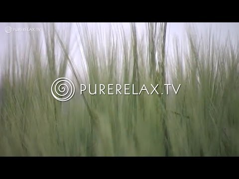 Erdenklang - Achim Gieseler 'L' Air, La Terre' Album