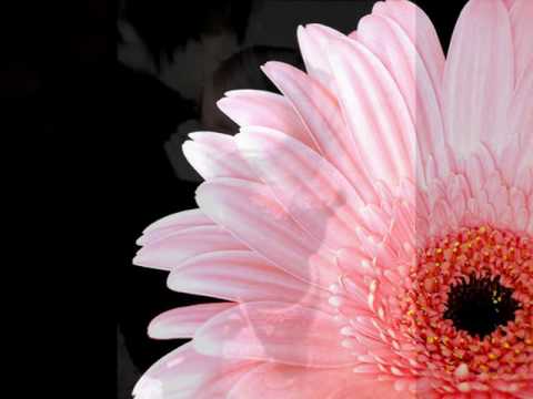 G-no Ft. IND - Definitie van liefde