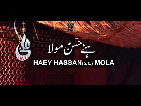 download lagu mp3 mp4 Farhan Ali Waris Nohay 2017, download lagu Farhan Ali Waris Nohay 2017 gratis, unduh video klip Download Farhan Ali Waris Nohay 2017 Mp3 dan Mp4 Music Gratis