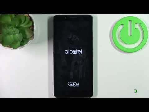 How to Factory Reset on ALCATEL 1C (2019) // Hard Reset through Settings
