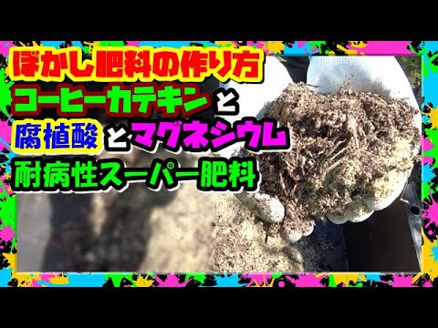 コーヒー粕と植物：キョウチクトウの肥料として使用できますか?  庭園