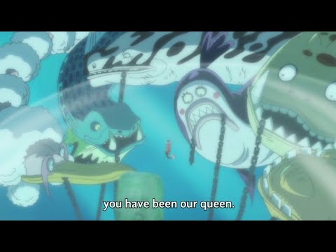 Sea kings are shocked with luffy power (English Sub)