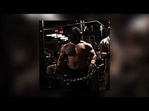 Three Days Grace - Animal I have become x Tren Twins MOTIVATION (slowed)