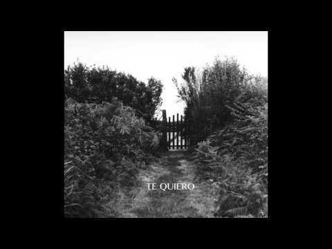 "El Cariño- Modelo de Respuesta Polar- Lyric video"