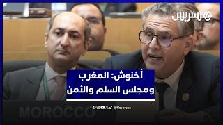 أخنوش: إعادة انتخاب المغرب بمجلس السلم والأمن يكرس الدور المثالي للمملكة داخل الاتحاد الإفريقي thumbnail