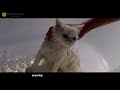 Breeders Hub A Complete Pet Store Cat Grooming Dog Grooming Products Services