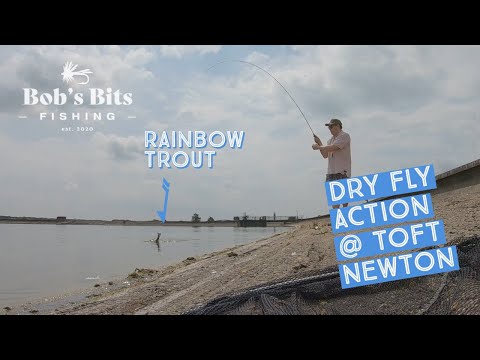DRY FLY ACTION at Toft Newton Fishery, Lincolnshire