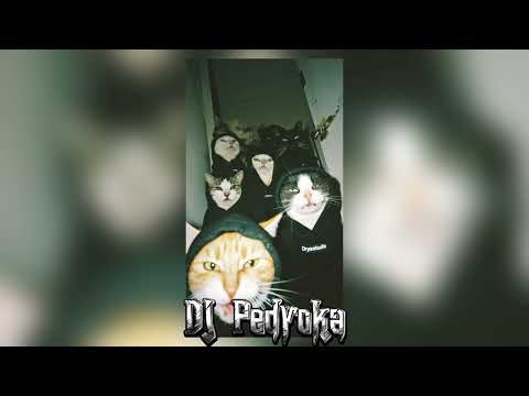 HARD TRAP Freestyle Beat - INFLUENCE | @djpedroka