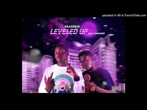 Zaandum - leveled up (ft Acekeed)