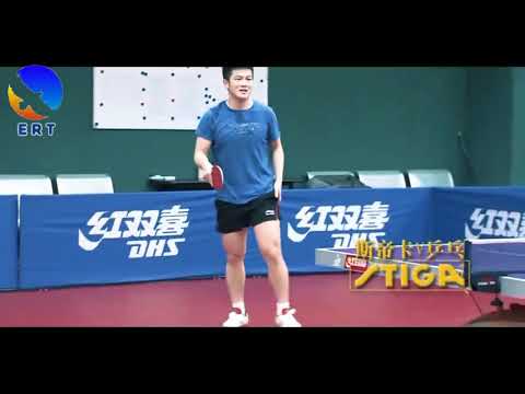 Fan Zhendong Forehand Training