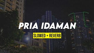 Download lagu PRIA IDAMAN (slowed   reverb) mp3