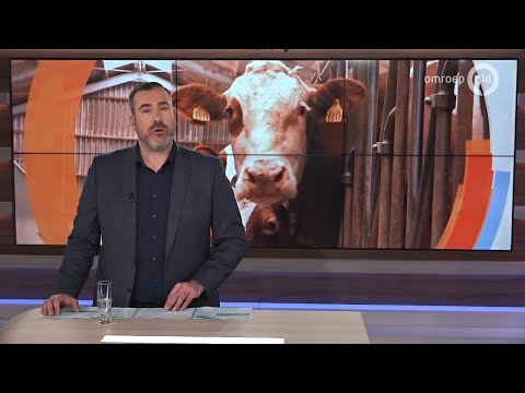 GLD Nieuws 29 maart 2019 - Vrijdag 29 maart