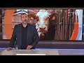 GLD Nieuws 29 maart 2019 - Vrijdag 29 maart