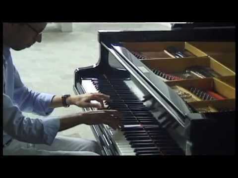 Domenico Scarlatti, Sonate in b K 27 by Jaap Eilander