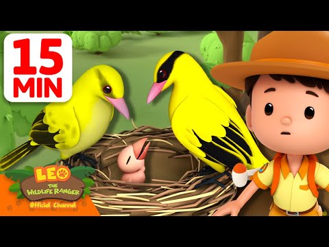 Baby Bird Looks Different from its Parents! 🐦👪 | 15 Min | Leo the Wildlife Ranger | #animals