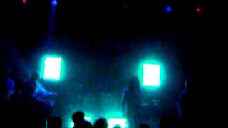 Minus the Bear - Animal Backwards