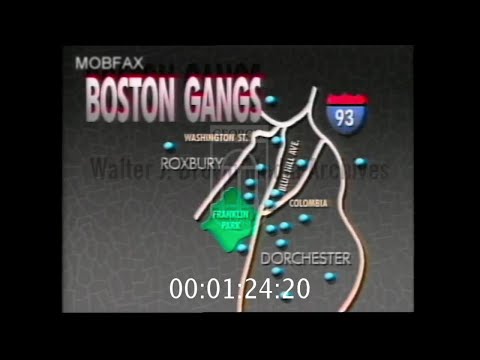 Boundaries Of Fear: Boston Gangs (1989)