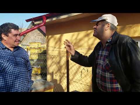 335. With Nea Ilie about bee wintering