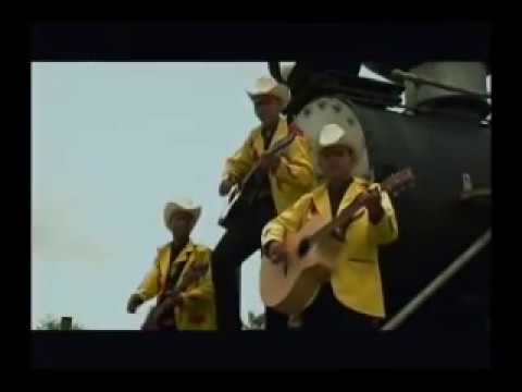 Medias Negras Los Higuerenos