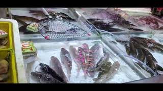 Download lagu Hong Kong Hung Sui Kiu Hung Fuk wet market. 香港洪水橋洪福街市 pasar 시장 #hk #seafood #market #fish #buying mp3