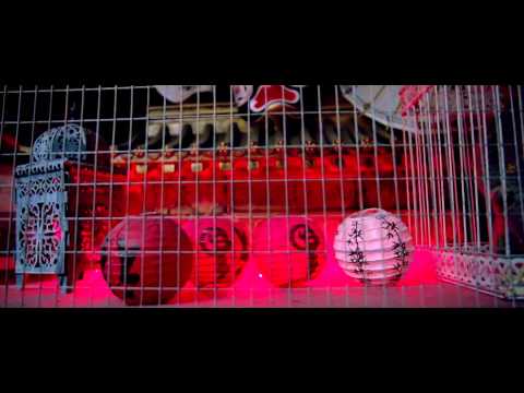 download lagu mp3 mp4 Sivas Kbhavana, download lagu Sivas Kbhavana gratis, unduh video klip Sivas Kbhavana