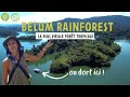 BELUM Malaisie : 3 Nuits dans la plus vieille Forêt Tropicale du Monde ( Rainforest )