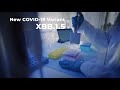 XBB.1.5 Variant | COVID-19 Update with Dr. Nick Gilpin