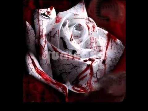 TIMORIA - Sangue impazzito - (Testo)