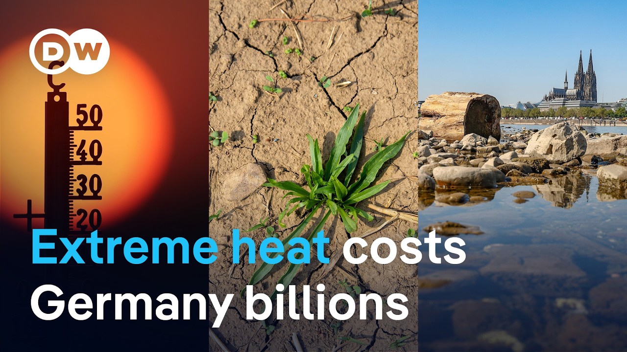 Germany's 25-day heat wave costs economy €36 billion, disrupts farms and factories