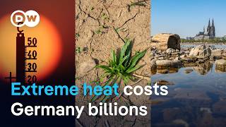 Germany's 25-day heat wave costs economy €36 billion, disrupts farms and factories