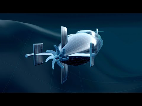 Science Fix | What is Cavitation?