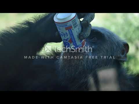 Krystian ''JaMpA'' - Nie INACZEJ (prod. j lutek .) DRILL