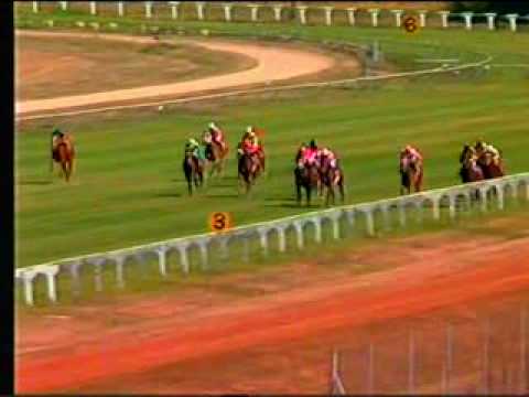 zimbabwe horse race - 01.avi