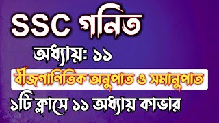 SSC গনিত || অধ্যায়-১১ || বীজগাণিতিক অনুপাত ও সমানুপাত || SSC math Chapter 11 ||| Rifat Academy