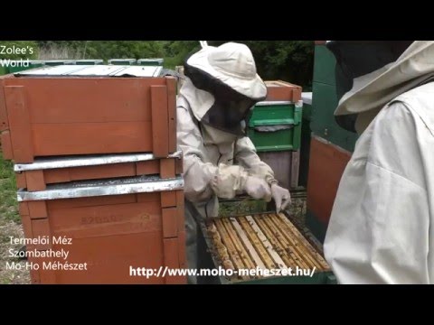 magnézium ízületi fájdalom vitamin izületi gyulladás