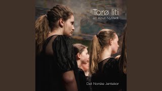 Knut Nystedt: Torø liti