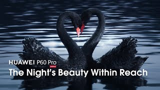 Huawei P60 Pro - The Night's Beauty Within Reach