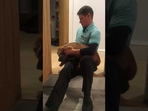 Duggie’s coat seems really complicated... to some