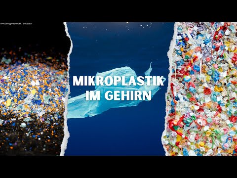 Mikroplastik im Gehirn: Wie gefährlich ist das?