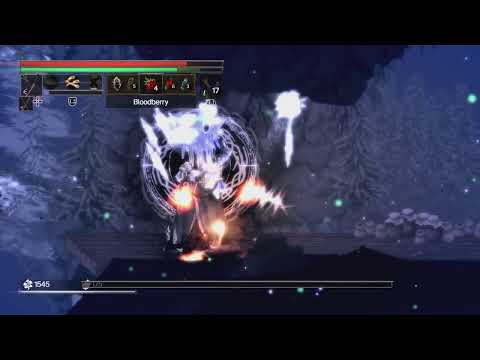 Salt and Sacrifice Cryomancer boss killed