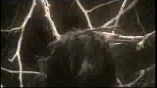 The End - Throwing Stones