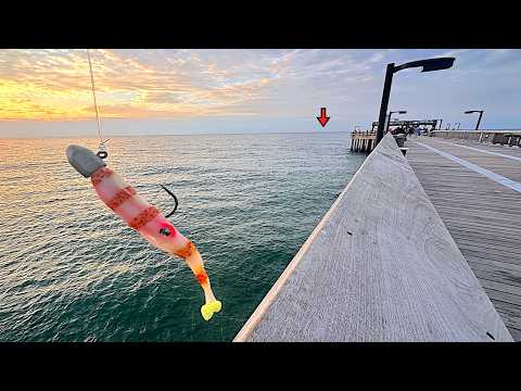 I TOSSED a JIG off the GULF PIER and Caught THIS for Dinner... *Catch, Clean, Cook*