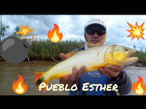 Linda pesca de costa en Pueblo Esther y embarcado. 