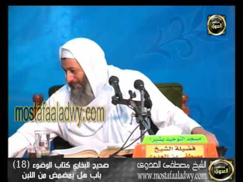  شرح صحيح البخارى   كتاب الوضوء 18 